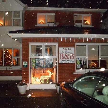 The Branches B&B Galway Eksteriør bilde